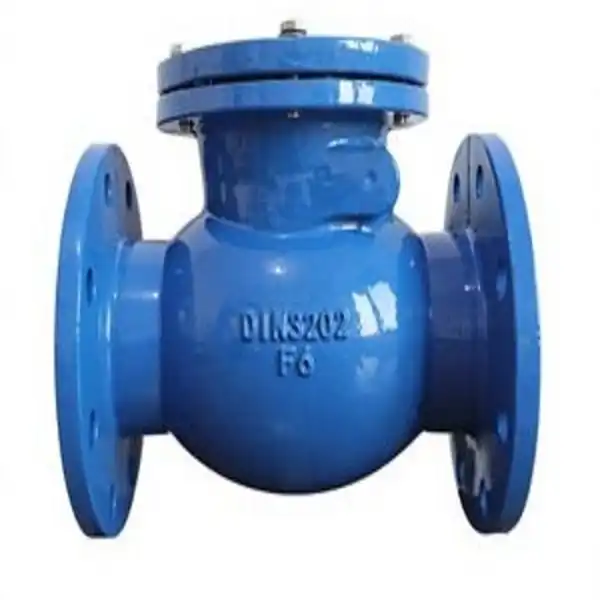 6 Swing Check Valve: Durable Valves for Industrial & Water System Applications